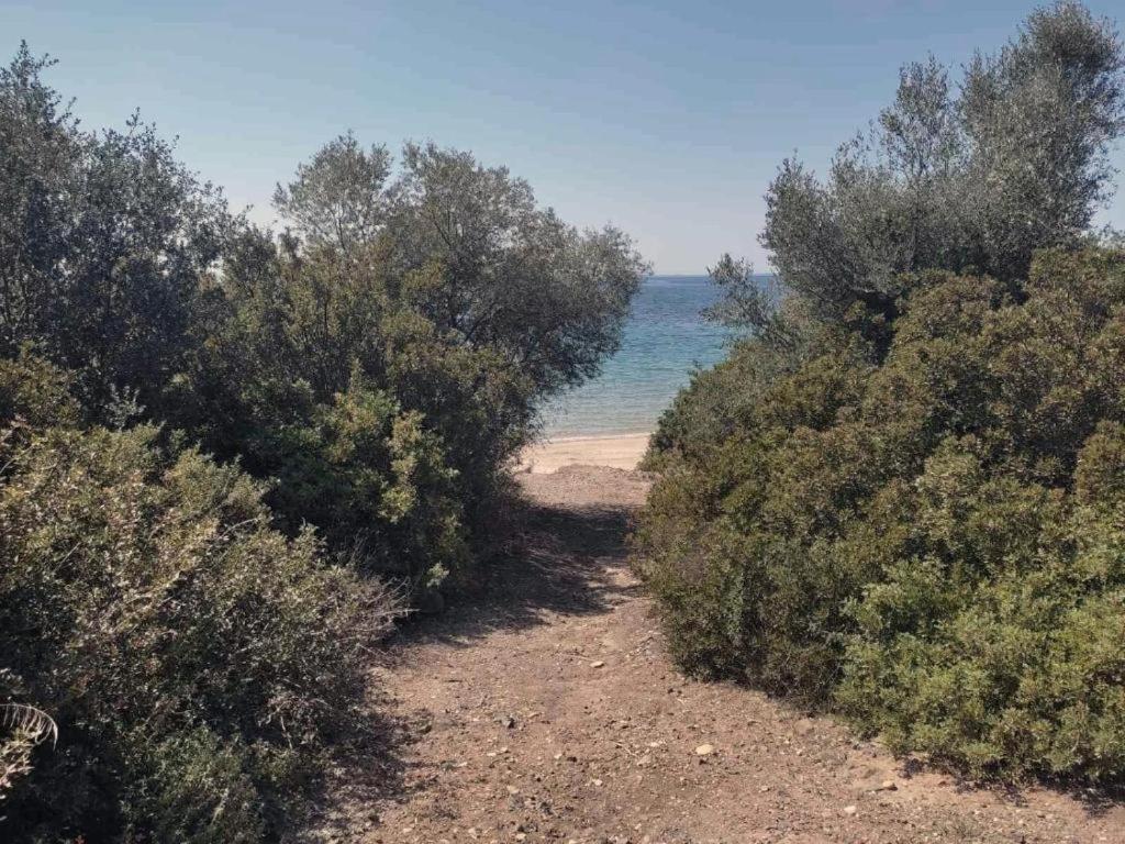 Case de vacanță Enelia Vatopédhion